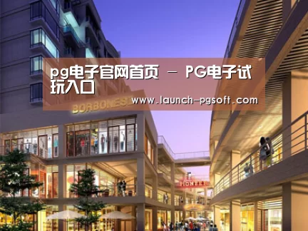 案例展示一(图1)