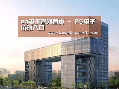 案例展示四