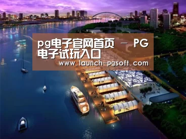 案例展示八