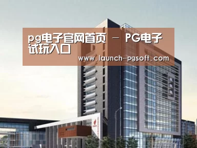 案例展示七