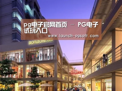案例展示一