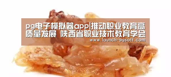 pg电子模拟器app|推动职业教育高质量发展 陕西省职业技术教育学会高职学术年会在宝鸡召开(图2) 在线试玩