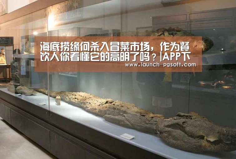 APP下载