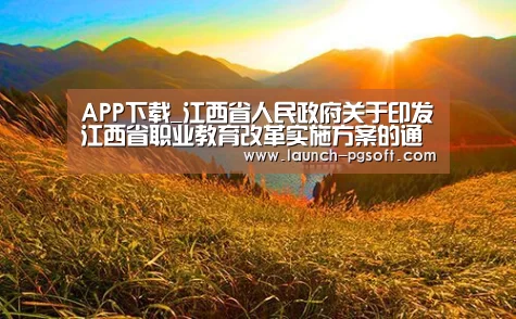 APP下载