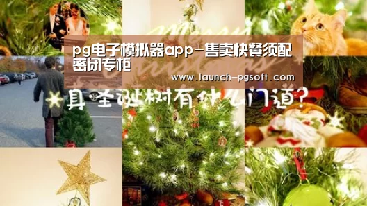 pg电子模拟器app-售卖快餐须配密闭专柜(图1) 在线试玩