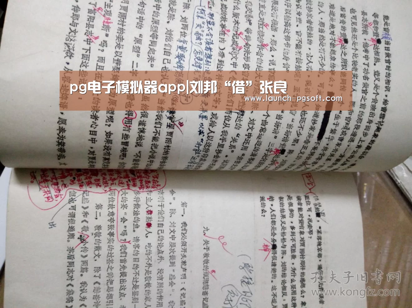 官网入口